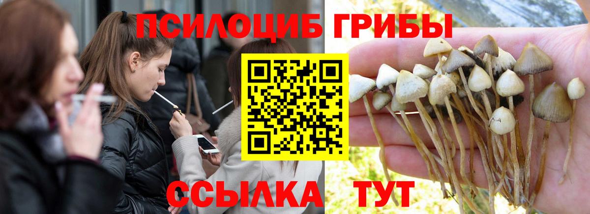 Псилоцибиновые грибы MAGIC MUSHROOMS  Вход с VPN  Каспийск  Галлюциногенные грибы MAGIC MUSHROOMS 